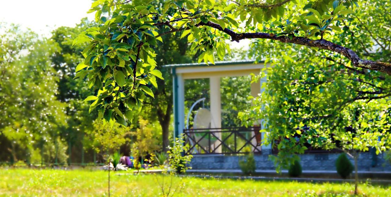 Villa Rokiti Exterior photo